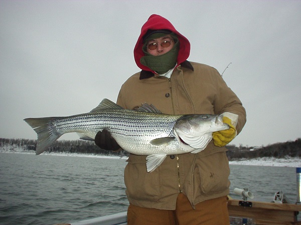 Fisherman with big striped bass