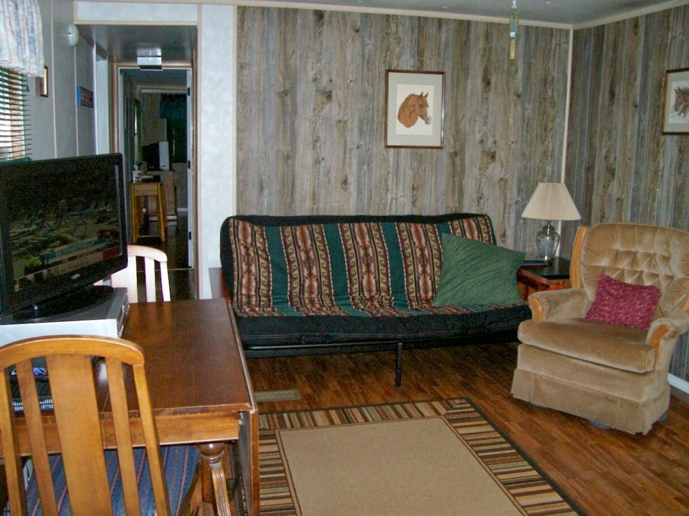 Ozark retreat living room