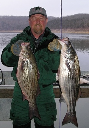 fisherman with 2 striped bass