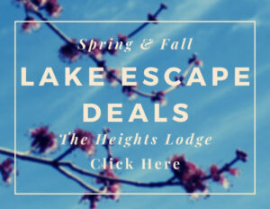 Lake Escape Blur5x90